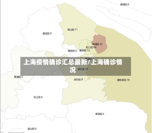 上海疫情确诊汇总最新/上海确诊情况