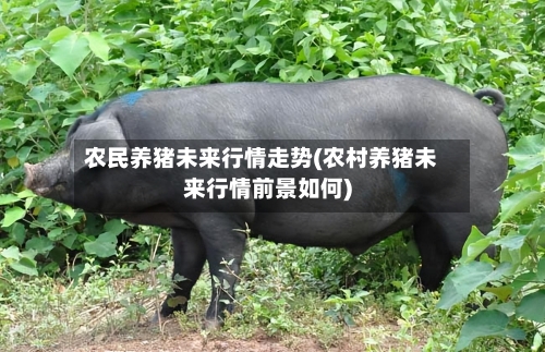 农民养猪未来行情走势(农村养猪未来行情前景如何)