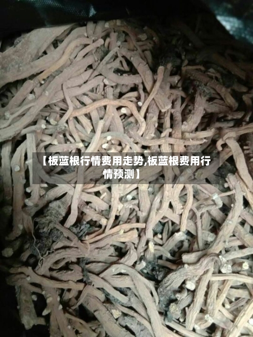 【板蓝根行情费用走势,板蓝根费用行情预测】