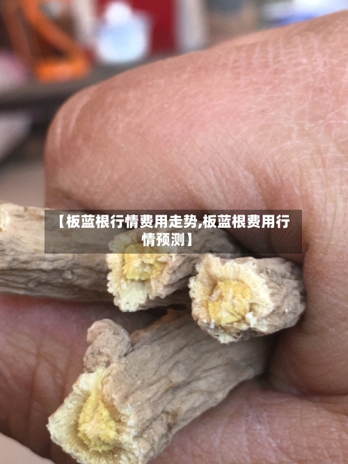 【板蓝根行情费用走势,板蓝根费用行情预测】