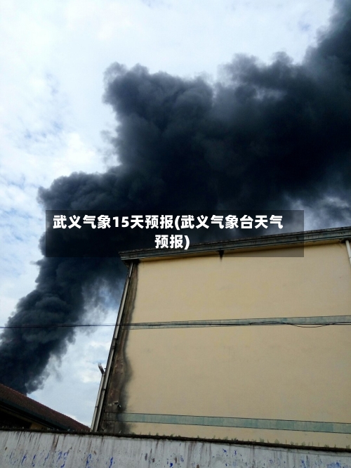 武义气象15天预报(武义气象台天气预报)