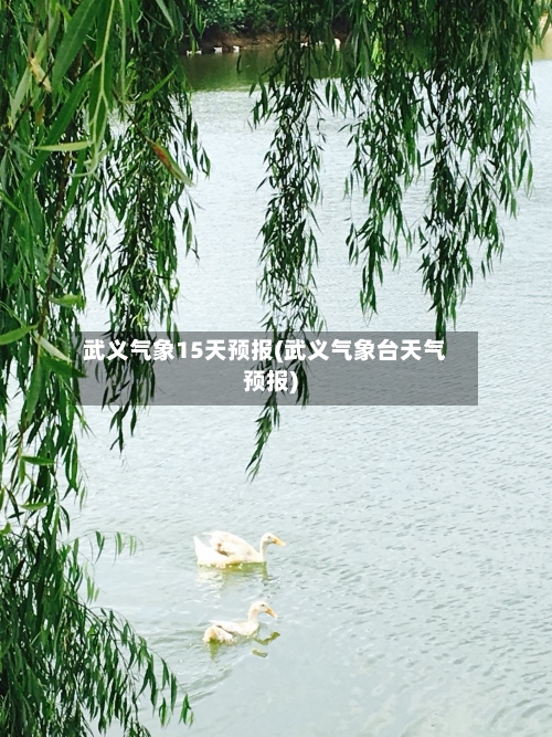 武义气象15天预报(武义气象台天气预报)