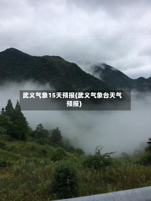 武义气象15天预报(武义气象台天气预报)