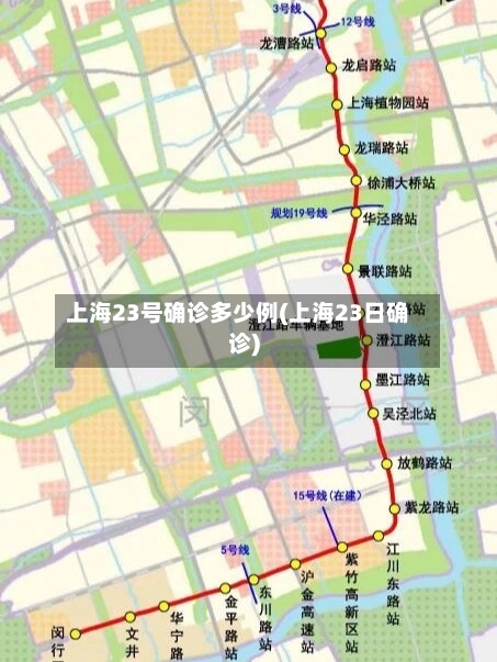 上海23号确诊多少例(上海23日确诊)