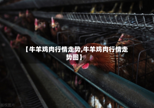 【牛羊鸡肉行情走势,牛羊鸡肉行情走势图】