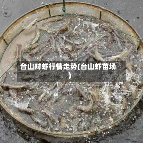 台山对虾行情走势(台山虾苗场)