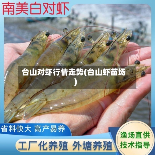台山对虾行情走势(台山虾苗场)