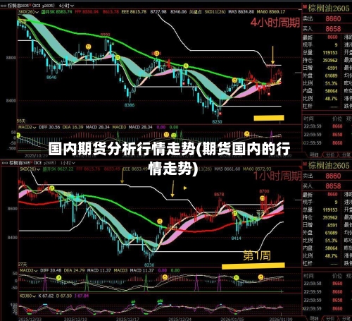 国内期货分析行情走势(期货国内的行情走势)