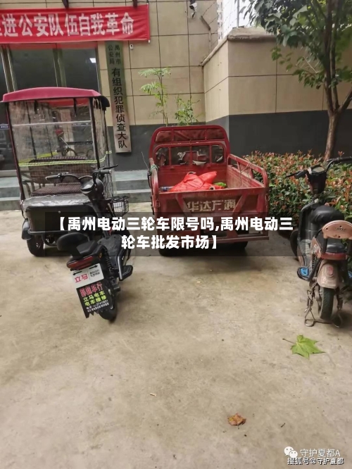 【禹州电动三轮车限号吗,禹州电动三轮车批发市场】