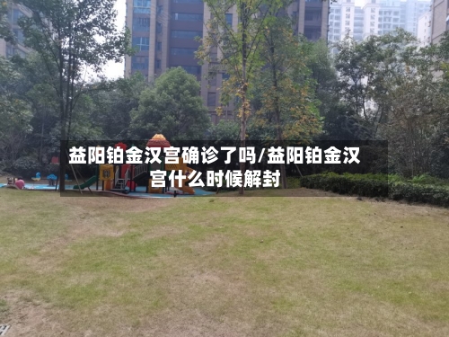 益阳铂金汉宫确诊了吗/益阳铂金汉宫什么时候解封