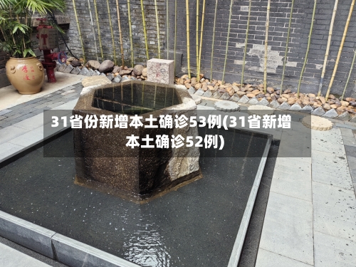 31省份新增本土确诊53例(31省新增本土确诊52例)