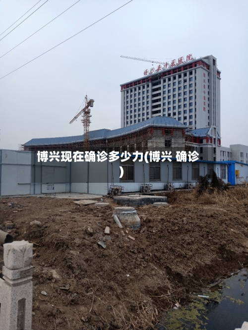 博兴现在确诊多少力(博兴 确诊)