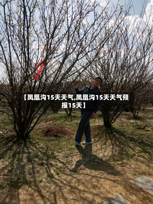 【凤凰沟15天天气,凤凰沟15天天气预报15天】