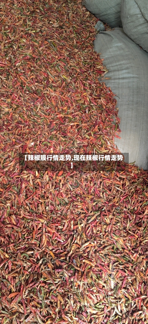 【辣椒膜行情走势,现在辣椒行情走势】