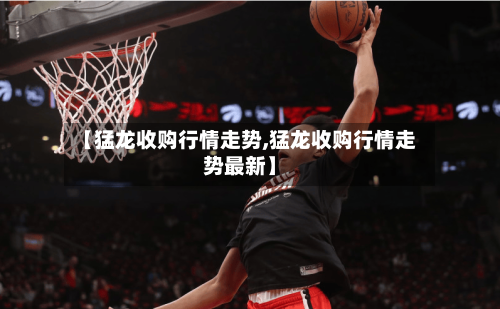 【猛龙收购行情走势,猛龙收购行情走势最新】