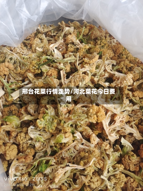 邢台花菜行情走势/河北菜花今日费用
