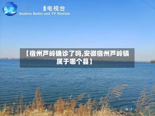 【宿州芦岭确诊了吗,安徽宿州芦岭镇属于哪个县】