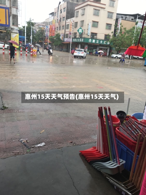 惠州15天天气预告(惠卅15天天气)