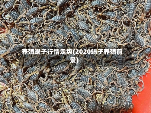 养殖蝎子行情走势(2020蝎子养殖前景)