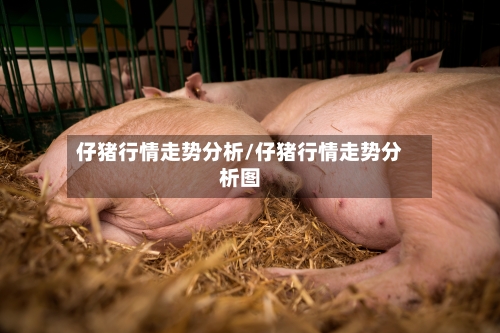 仔猪行情走势分析/仔猪行情走势分析图