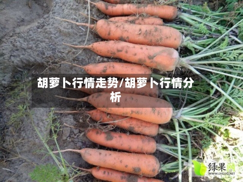 胡萝卜行情走势/胡萝卜行情分析