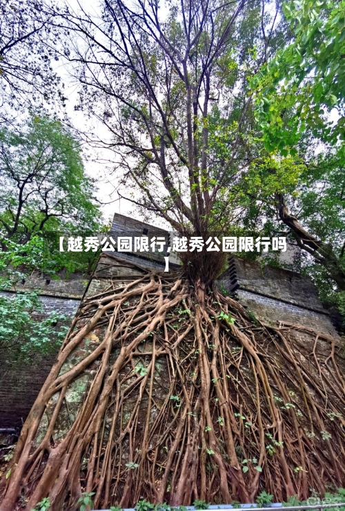 【越秀公园限行,越秀公园限行吗】