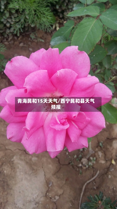 青海民和15天天气/西宁民和县天气预报