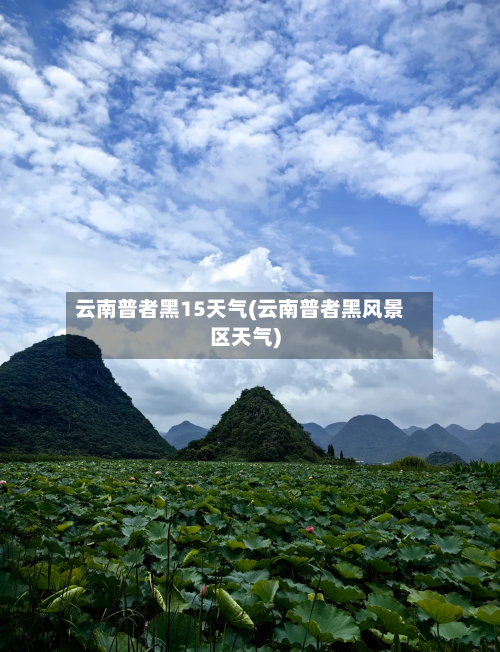 云南普者黑15天气(云南普者黑风景区天气)