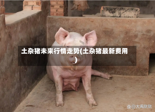 土杂猪未来行情走势(土杂猪最新费用)
