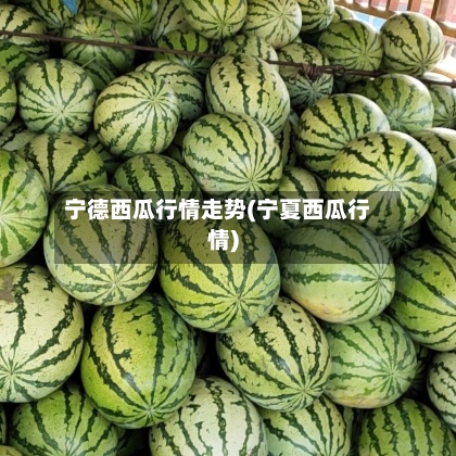 宁德西瓜行情走势(宁夏西瓜行情)
