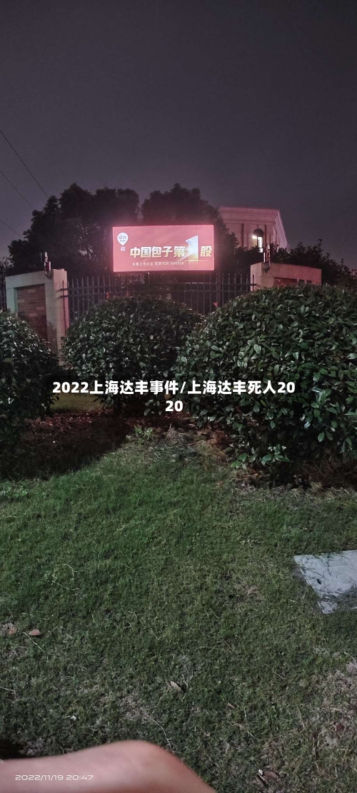 2022上海达丰事件/上海达丰死人2020