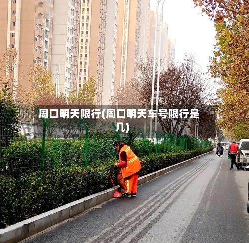 周口明天限行(周口明天车号限行是几)