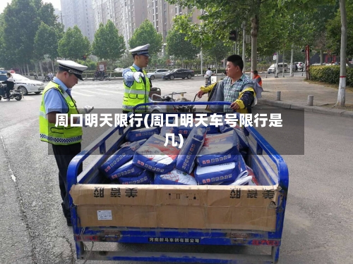 周口明天限行(周口明天车号限行是几)