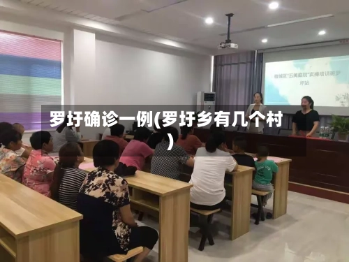 罗圩确诊一例(罗圩乡有几个村)