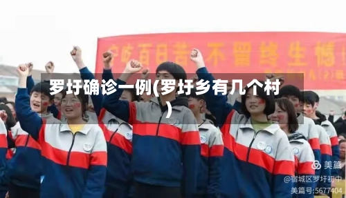 罗圩确诊一例(罗圩乡有几个村)