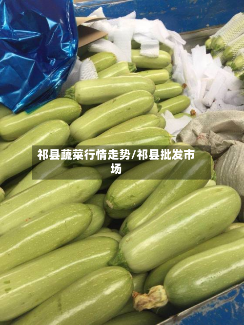 祁县蔬菜行情走势/祁县批发市场