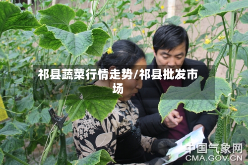 祁县蔬菜行情走势/祁县批发市场