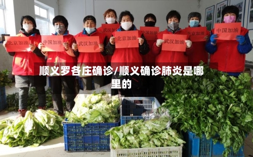 顺义罗各庄确诊/顺义确诊肺炎是哪里的