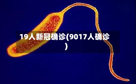 19人新冠确诊(9017人确诊)