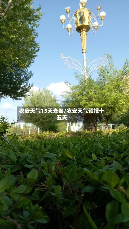 农安天气15天查询/农安天气预报十五天