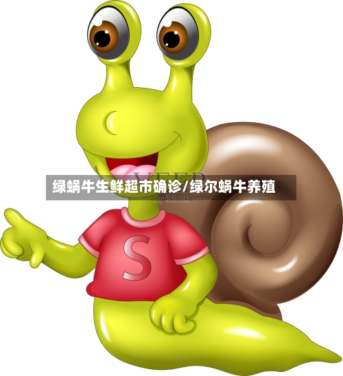 绿蜗牛生鲜超市确诊/绿尔蜗牛养殖