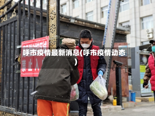 呼市疫情最新消息(呼市疫情动态)