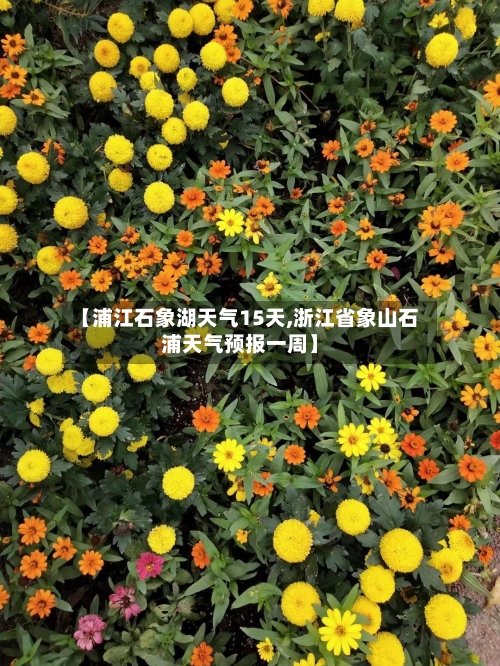 【浦江石象湖天气15天,浙江省象山石浦天气预报一周】