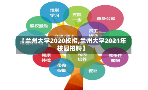 【兰州大学2020校招,兰州大学2021年校园招聘】