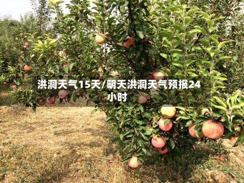 洪洞天气15天/明天洪洞天气预报24小时