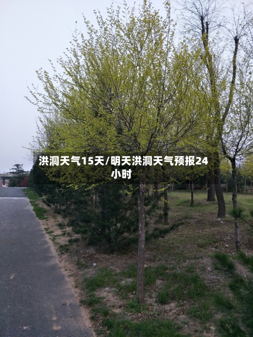 洪洞天气15天/明天洪洞天气预报24小时