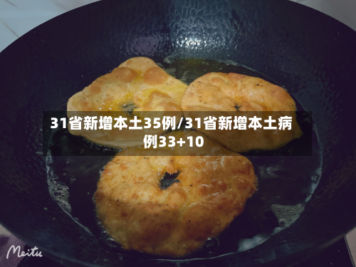 31省新增本土35例/31省新增本土病例33+10