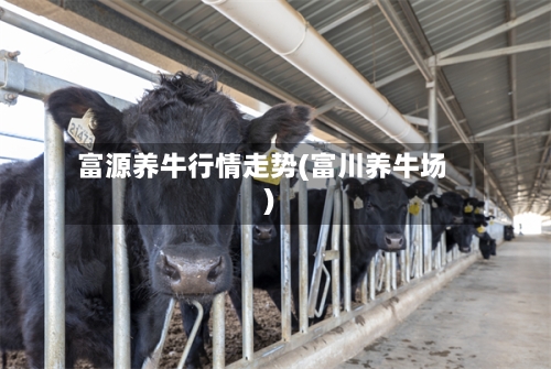 富源养牛行情走势(富川养牛场)