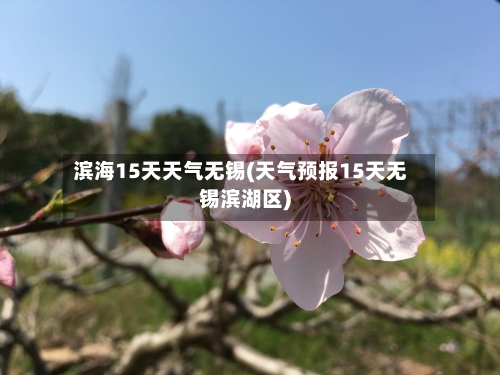 滨海15天天气无锡(天气预报15天无锡滨湖区)