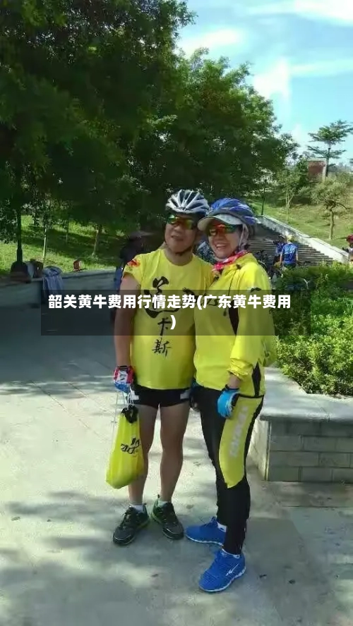 韶关黄牛费用行情走势(广东黄牛费用)